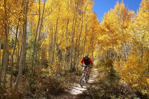 mountain biking in Winter Park, CO